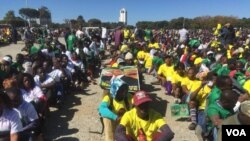 Zanu-PF Youths