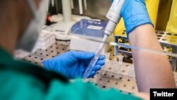 U poslednja 24 sata Institutu za javno zdravlje prijavljen je oporavak kod 289 pacijenta, pa je ukupan broj aktivnih slučajeva Kovida 19 u Crnoj Gori 7427 (Foto: Institut za javno zdravlje Crne Gore)