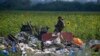 MH17 