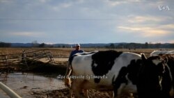 OFF THE HIGHWAY: American Farmers โฉมหน้าที่เปลี่ยนไปของเกษตรกรอเมริกัน?