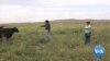 Pode um político “bom do Nebraska” vencer na América rural?