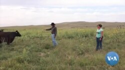Pode um político “bom do Nebraska” vencer na América rural?