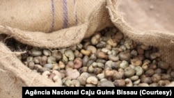Cajú da Guiné-Bissau