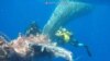 Ikan Paus Terperangkap Jaring Penangkap Ikan di Laut Tengah