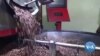 Climate Change Affects Coffee Growers in El Salvador