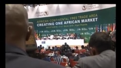 Zona de comércio livre em África ameaçada