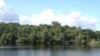Laju Penggundulan Hutan Pantai Brazil Berkurang