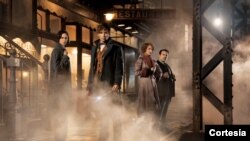 Salah satu adegan dalam film "Fantastic Beasts and Where to Find Them'' (foto: ilustrasi).