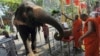 Sri Lanka Cracks Down on Owners of Elephants Taken From Wild