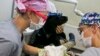 Di Chile, Anjing Bantu Anak Autis Saat di Dokter Gigi