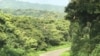 Bara Dabre Kana Balaan Ibiddi Bosonaa Godinaalee Oromiyaa 11 Keessatti Muudachun Ibsame