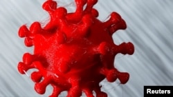 Coronavirus Model 