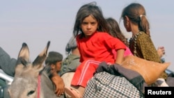 Anak-anak etnis minoritas Yazidi yang terlantar, melarikan diri dari kekerasan pasukan yang loayal kepada ISIS di Kota Sinjar. Mereka mengendarai keledai menuju kota perbatasan Suriah, Elierbeh, 11 Agustus 2014.