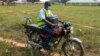 Armed Gangs Raise Risks in Vaccinating Rural Nigerians