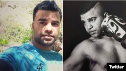 محمد جواد وفایی ثانی