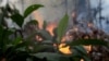 AP Explains: Role of the Amazon in Global Climate Change