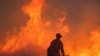 Kebakaran Baru di Los Angeles Picu Evakuasi Bagi 31.000 Warga