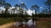 New Water Rules Mark Latest Trump Rollback on Environmental Regulations 