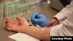 Researchers demonstrate a process known as tissue nano-transfection at The Ohio State University Wexner Medical Center. (Photo courtesy of The Ohio State University Wexner Medical Center)