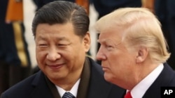 美國總統特朗普和中國國家主席習近平在北京人大會堂參加一個歡迎儀式。 （2017年11月9日）