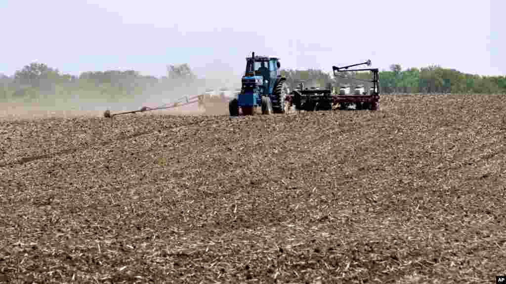 Andy Hall, seorang petani di Bondurant, negara bagian Iowa menanam jagung di tanah pertaniannya (foto: Mei 2012). Kekeringan yang parah kemungkinan menyebabkan gagalnya panen jagung tahun ini.