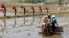 Partai Buruh Korut Bertemu untuk Bahas Isu Pangan ‘Mendesak’