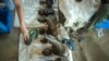 FILE - Cut off rhino horns are weighed and stored at John Hume's Rhino Ranch in Klerksdorp, in the North Western Province of South Africa, on Feb. 3, 2016. 