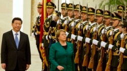 Chilean President Michelle Bachelet, 2014