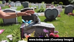 pet funeral
