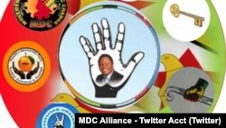 MDC Alliance Logo