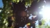 16x9 Image