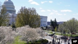 Petugas polisi mengepung tempat kejadian setelah sebuah mobil menabrak penghalang di Capitol Hill di sisi Senat Capitol AS di Washington, Jumat, 2 April 2021. (Foto: AP/J. Scott Applewhite)