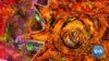 16x9 Image