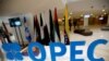 ‘OPEC 플러스’ 원유 증산 협의 이어가... UAE 이견