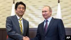 俄罗斯总统普京（右）在索契俄罗斯总统官邸会晤到访的日本首相安倍。（2016年5月6日）