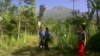 160 Hektar Hutan di Bali Hangus Terbakar