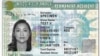 US Green Card Lottery Applications Lost, Must Be Resubmitted
