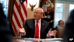 President Donald Trump speaks during a Cabinet meeting at the White House, Jan. 2, 2019, in Washington.