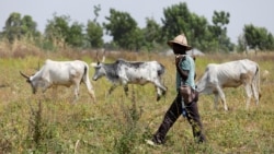 2Rs África Ocidental , os Fulani da Guiné-Bissau