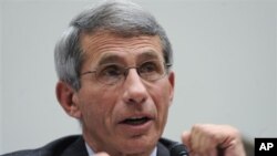 Menurut Anthony Fauci, Direktur Institut Alergi dan Penyakit Menular Nasional menjelaskan mengenai uji coba vaksin demam berdarah (foto: dok).