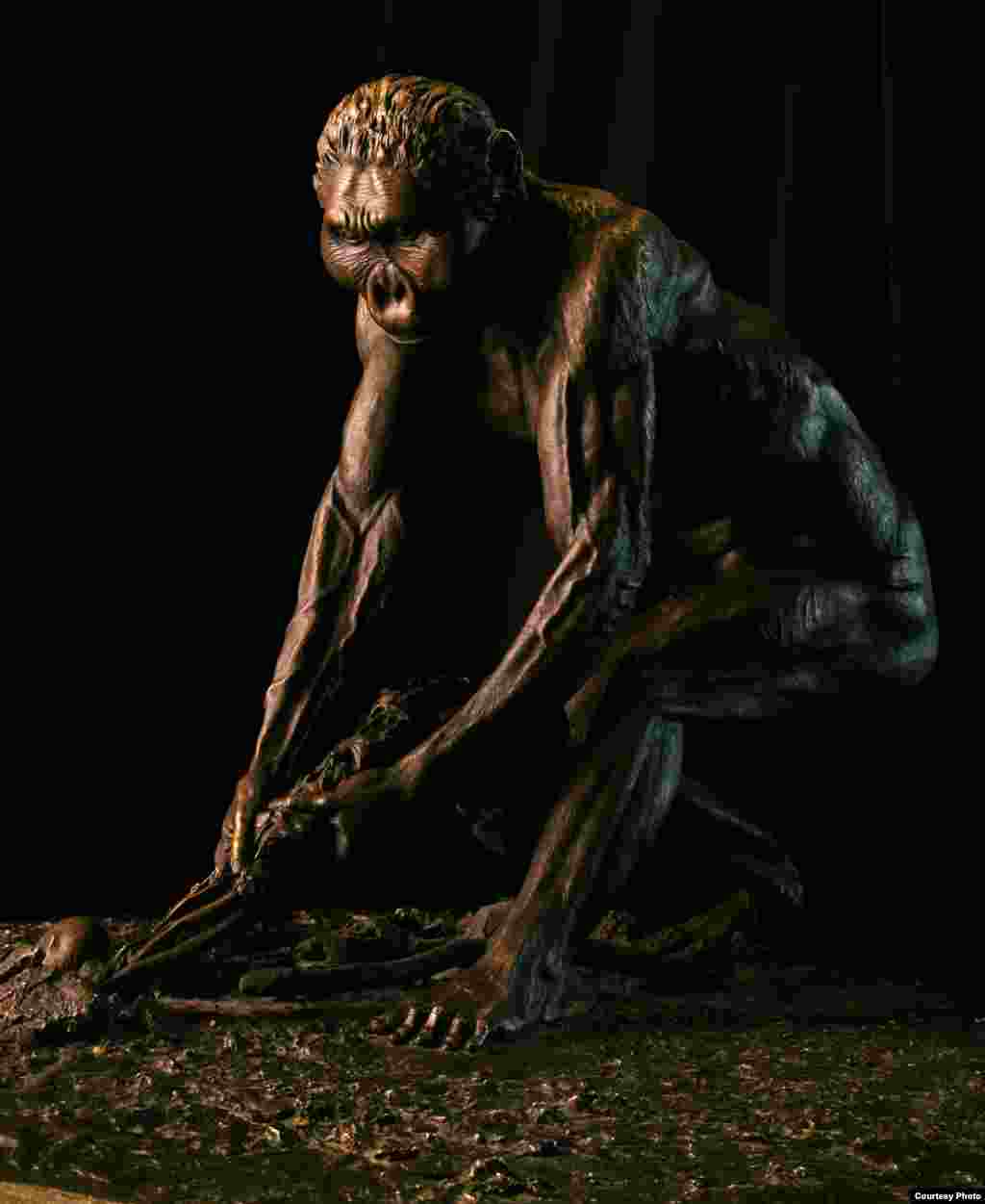 Paranthropus boisei, dibentuk dari perunggu, diperlihatkan sedang melakukan aktivitas sehari-hari pada periode sekitar 2 juta tahun yang lampau. (John Gurche, “Shaping Humanity”)