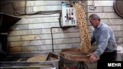 پسته یکی از اقلامی بود که قیمت سرسام آورش، آن را از سفره شب عید پارسال مردم حذف کرد.
