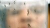 Obama Urges Development of Tests, Treatments for Zika Virus