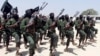 12 Al-Shabab Fighters Killed in Airstrike, US Military Says