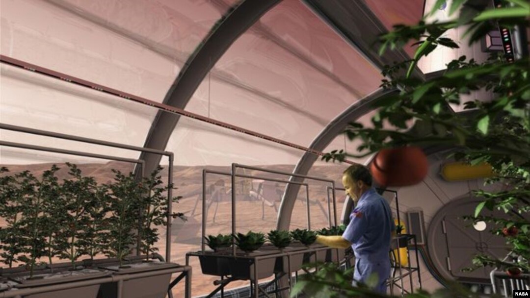 Mars_Greenhouse_ (Long-term setttlements on Mars could potentially grow their own food) NASA