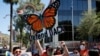 Supreme Court DACA Ruling Explained