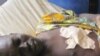 Death Toll Climbing in Kano, Nigeria