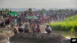 Newly arrived Rohingya Muslims, who crossed over from Myanmar into Bangladesh, rest in a field after spending a night in the open as they have been prevented from moving ahead towards refugee camps by Bangladesh border guard soldiers at Palong Khali, Bang