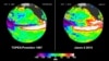 WMO: Current El Nino One of Strongest on Record