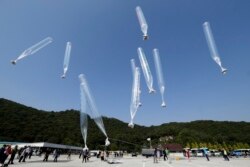 지난 2014년 10월 한국 파주에서 탈북민 단체 관계자들이 북한으로 전단을 날려보내고 있다.